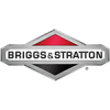 С двигателем Briggs&Stratton (США)