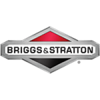 С двигателем Briggs & Stratton (США)